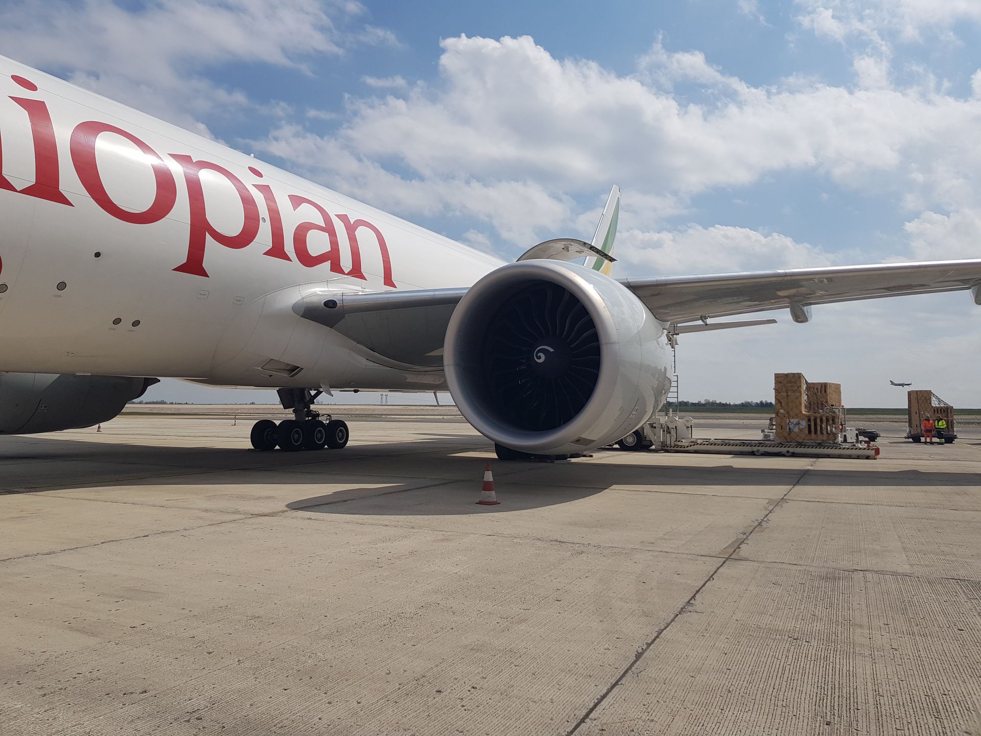 Cargo aircraft loading livestock containers